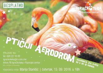 Ptičiji aerodrom