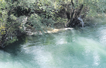 Fekalije, Morača