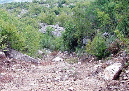 Potoci