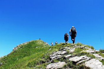 Ostrovica