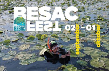 Besac fest