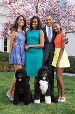 Obame