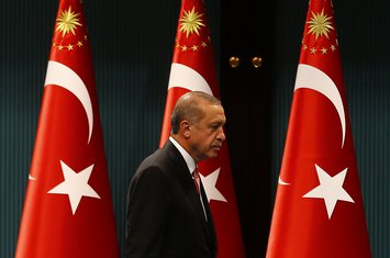 Tajip Erdogan, Turska