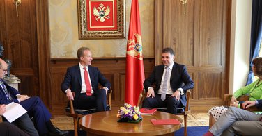 Borge Brende, Petar Ivanović