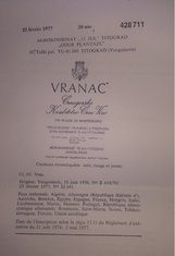 vranac sinopsis