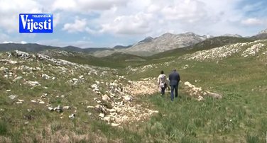 Dragišnica