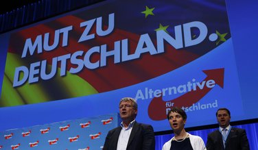 AFD, Njemačka