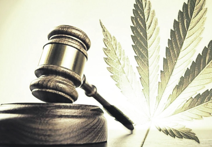 Marihuana, presuda