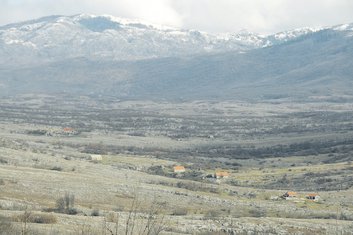 Crni kUk i Veljko Milović