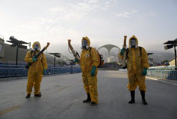 Virus zika