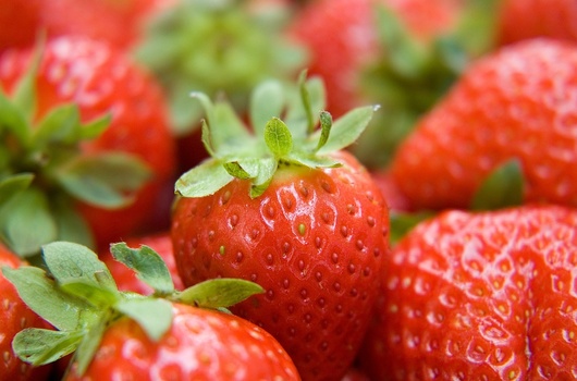 Jagode