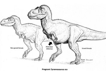 T-Rex