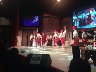Zlatna pahulja 2015