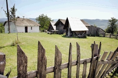 Bukovica