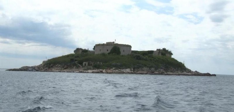 Mamula