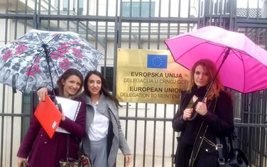 Ćalasan, Pavićević i Kurgaš ispred sjedišta Delegacije EU