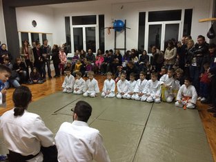 Aikido akademija