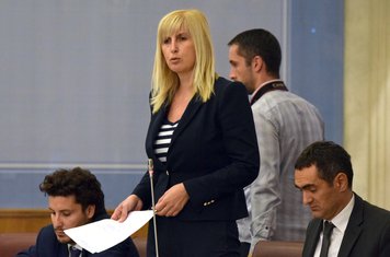 Snežana Jonica