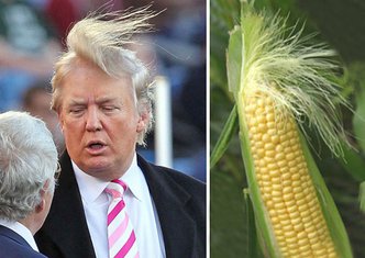 Donald Tramp