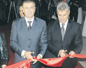 Branimir Gvozdenović, Ivan Brajović