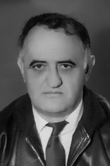 Dimitrije Vujović