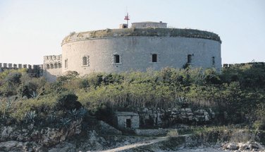 Mamula