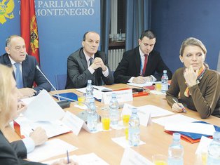 Radne grupe