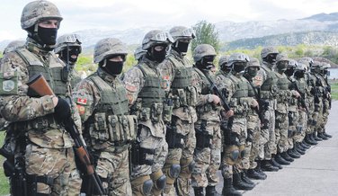 vojska