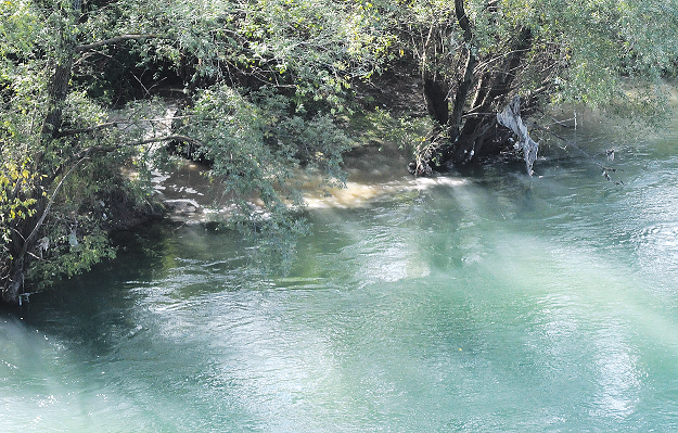 Fekalije, Morača