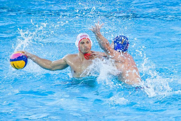 Nikola Janović