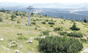 Štuoc, Durmitor