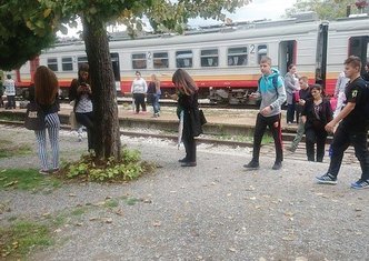 voz, Virpazar