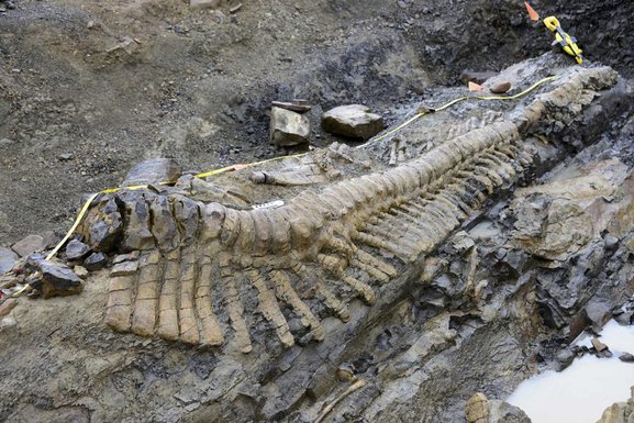 dinosaurus