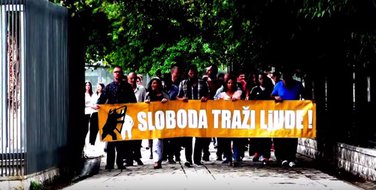 Mladi DF