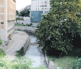 Ribnica