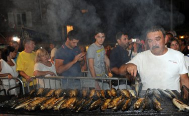 Petrovačka noć