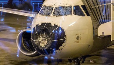 Avion