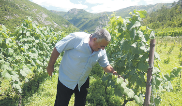 Aćim Dabović