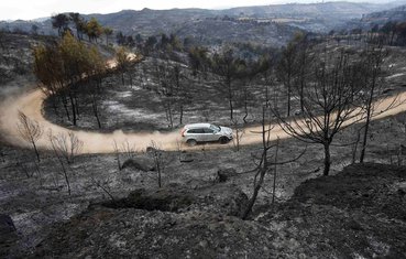 Španija, požar, opustošeno zemljište