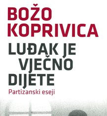 Božo Koprivica, knjiga (Novine)
