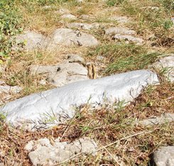 Prefarbana markacija