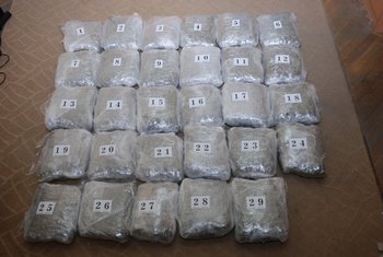 zaplijenjena droga