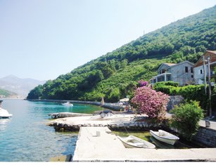 Padina Lepetane