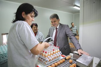 Petar Ivanović, Fabrika stočne hrane Spuž