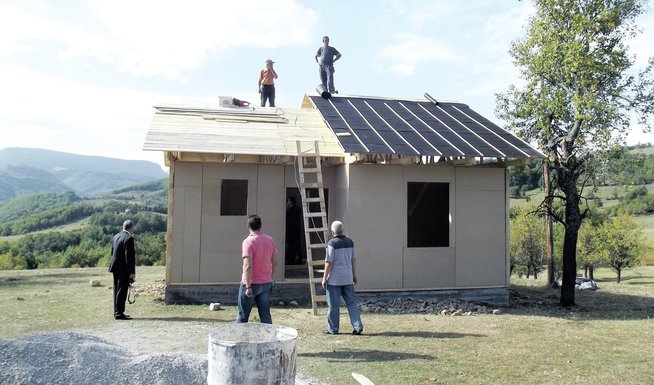 Bukovica (novina)