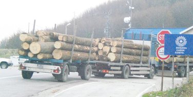 šumska građa