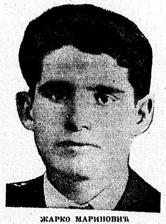 Žarko Marinović