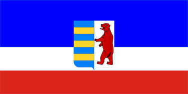 Zastava Rusina