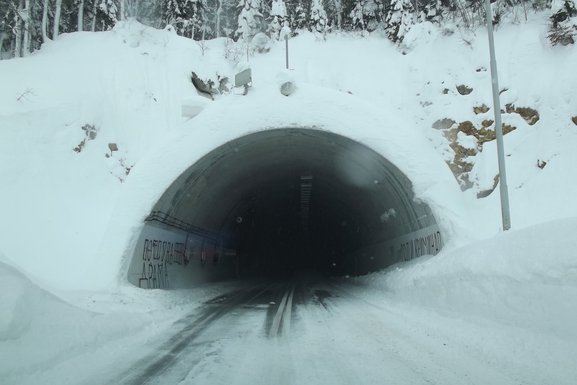 put Šavnik - Žabljak