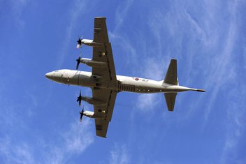 Nestali avion, Malezija erlajns
